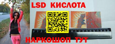 крисы Малгобек