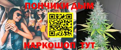 крисы Малгобек