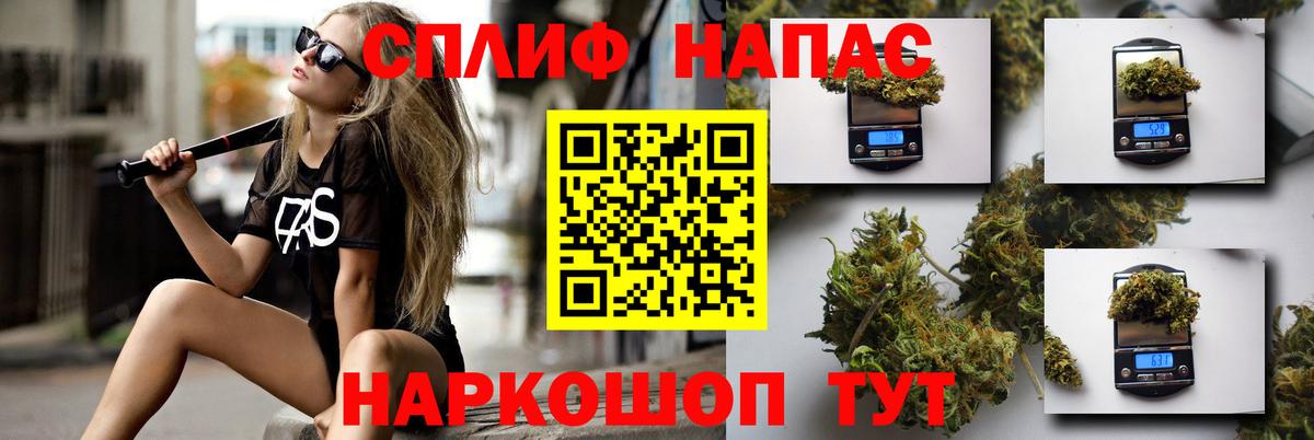 МАРИХУАНА семена Северск